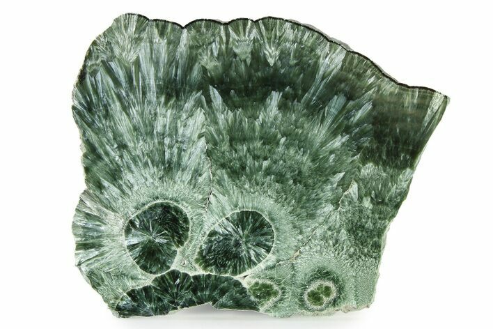 Polished Seraphinite Slab - Korshunovkiy Mine, Siberia #336476